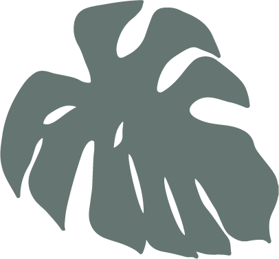 monstera-leaf-vector-illustrations-RADWZJU-19.png