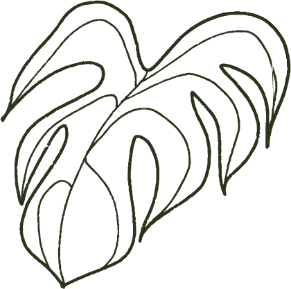monstera-leaf-vector-illustrations-RADWZJU-6.png