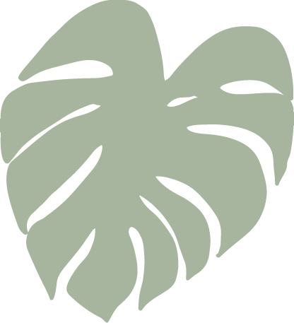 monstera-leaf-vector-illustrations-RADWZJU-8.png